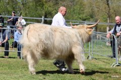 381-70-e-Mor-Gheal-2nd-of-Maje-Marco-Paetau-Gardelegen-2