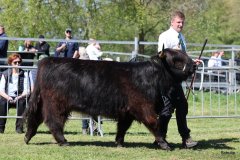 382-71-d-Alice-Dubh-5.-vom-Sunderberg-Familie-Bange-Brilon-Scharfenberg