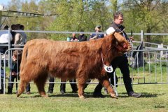 384-65-b-Amira-of-Catle-Mathias-Pooch-Menslage-2