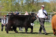 387-67-f-Liona-vom-Weeser-Moor-Stefan-Wreczcki-Voltlage-Weese-2