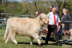 388-70-e-Mor-Gheal-2nd-of-Maje-Marco-Paetau-Gardelegen-3