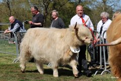 389-70-e-Mor-Gheal-2nd-of-Maje-Marco-Paetau-Gardelegen-4