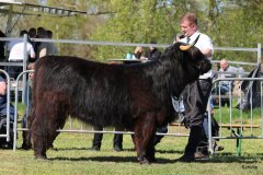 390-71-d-Alice-Dubh-5.-vom-Sunderberg-Familie-Bange-Brilon-Scharfenberg-2