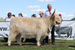 391-70-e-Mor-Gheal-2nd-of-Maje-Marco-Paetau-Gardelegen-5