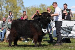 392-71-d-Alice-Dubh-5.-vom-Sunderberg-Familie-Bange-Brilon-Scharfenberg-3