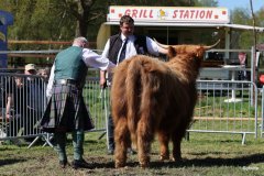 393-65-b-Amira-of-Catle-Mathias-Pooch-Menslage-3