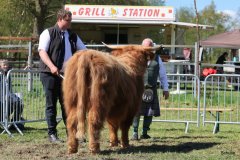 394-65-b-Amira-of-Catle-Mathias-Pooch-Menslage-4