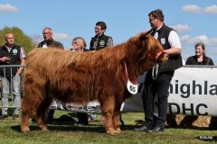 395-65-b-Amira-of-Catle-Mathias-Pooch-Menslage-5