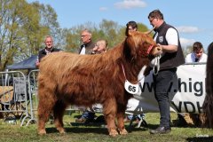 396-65-b-Amira-of-Catle-Mathias-Pooch-Menslage-6