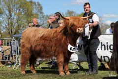 397-65-b-Amira-of-Catle-Mathias-Pooch-Menslage-7