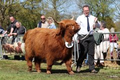 398-66-a-Beauty-Ruadh-2nd-vom-Sunderberg-Familie-Bange-Brilon-Scharfenberg-2