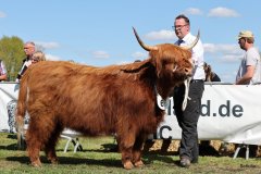 399-66-a-Beauty-Ruadh-2nd-vom-Sunderberg-Familie-Bange-Brilon-Scharfenberg-3