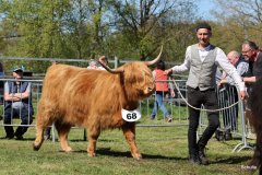 408-68-c-Fjella-vom-Storchennest-Norbert-u.-Ute-Hilgemeier-Diepenau-3