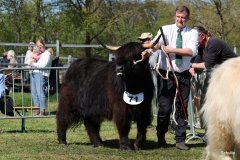 409-71-d-Alice-Dubh-5.-vom-Sunderberg-Familie-Bange-Brilon-Scharfenberg-4