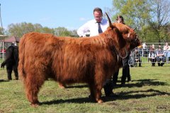 410-66-a-Beauty-Ruadh-2nd-vom-Sunderberg-Familie-Bange-Brilon-Scharfenberg-5