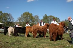 411-Faersen-Klasse-5a