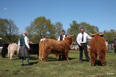 412-Faersen-Klasse-5a-2