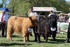 414-Faersen-Klasse-5a-3