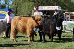 415-Faersen-Klasse-5a-4