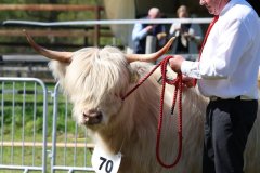 418-70-e-Mor-Gheal-2nd-of-Maje-Marco-Paetau-Gardelegen-6