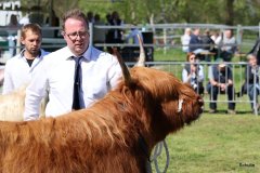 420-66-a-Beauty-Ruadh-2nd-vom-Sunderberg-Familie-Bange-Brilon-Scharfenberg-6