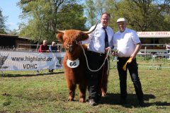 422-66-a-Beauty-Ruadh-2nd-vom-Sunderberg-Familie-Bange-Brilon-Scharfenberg-8