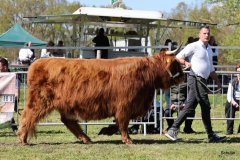 423-72-c-Sanova-vom-Zockeldraff-Manfred-Heinz-Scholen