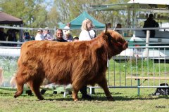 424-73-a-Eilidh-6.-von-Friedeburg-Jens-Brabander-Friedeburg