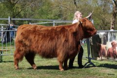 425-73-a-Eilidh-6.-von-Friedeburg-Jens-Brabander-Friedeburg-2