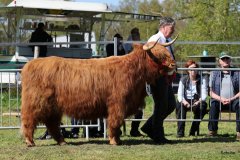 426-74-e-Arianna-Og-vom-Isenbeck-Anke-u.-Helmut-Heuer-Jungemann-Nienwohlde