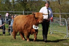 427-74-e-Arianna-Og-vom-Isenbeck-Anke-u.-Helmut-Heuer-Jungemann-Nienwohlde-2