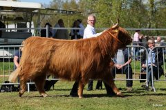 428-75-b-Flore-III-of-Eekkeloh-Ferdinand-Marschalk-Elmlohe