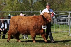 434-74-e-Arianna-Og-vom-Isenbeck-Anke-u.-Helmut-Heuer-Jungemann-Nienwohlde-4