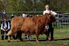 436-75-b-Flore-III-of-Eekkeloh-Ferdinand-Marschalk-Elmlohe-4