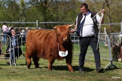 437-76-d-Shona-of-Castle-Mathias-Pooch-Menslage-2