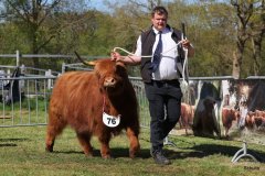 438-76-d-Shona-of-Castle-Mathias-Pooch-Menslage-3