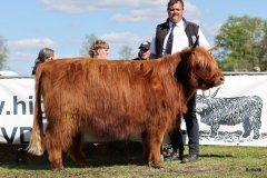 440-76-d-Shona-of-Castle-Mathias-Pooch-Menslage-4