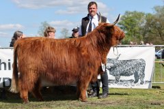 441-76-d-Shona-of-Castle-Mathias-Pooch-Menslage-5