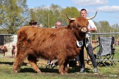 442-72-c-Sanova-vom-Zockeldraff-Manfred-Heinz-Scholen-2