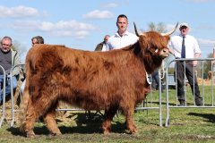 443-72-c-Sanova-vom-Zockeldraff-Manfred-Heinz-Scholen-3