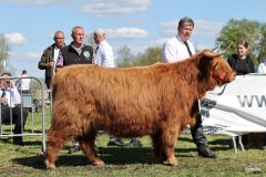 446-74-e-Arianna-Og-vom-Isenbeck-Anke-u.-Helmut-Heuer-Jungemann-Nienwohlde-5