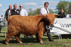 447-74-e-Arianna-Og-vom-Isenbeck-Anke-u.-Helmut-Heuer-Jungemann-Nienwohlde-6