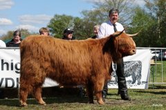 448-74-e-Arianna-Og-vom-Isenbeck-Anke-u.-Helmut-Heuer-Jungemann-Nienwohlde-7