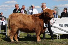 449-75-b-Flore-III-of-Eekkeloh-Ferdinand-Marschalk-Elmlohe-5