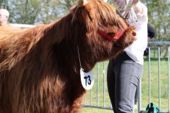 451-73-a-Eilidh-6.-von-Friedeburg-Jens-Brabander-Friedeburg-5