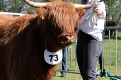 452-73-a-Eilidh-6.-von-Friedeburg-Jens-Brabander-Friedeburg-6