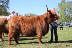 454-73-a-Eilidh-6.-von-Friedeburg-Jens-Brabander-Friedeburg-7