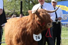 457-74-e-Arianna-Og-vom-Isenbeck-Anke-u.-Helmut-Heuer-Jungemann-Nienwohlde-8