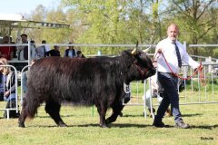 459-83-a-Suri-von-Kuhfelde-Claudia-und-Rene-Schulze-Gardelegen