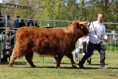 460-79-d-Lou-vom-Langen-Feld-Lukas-Ader-Bad-Hersfeld-2